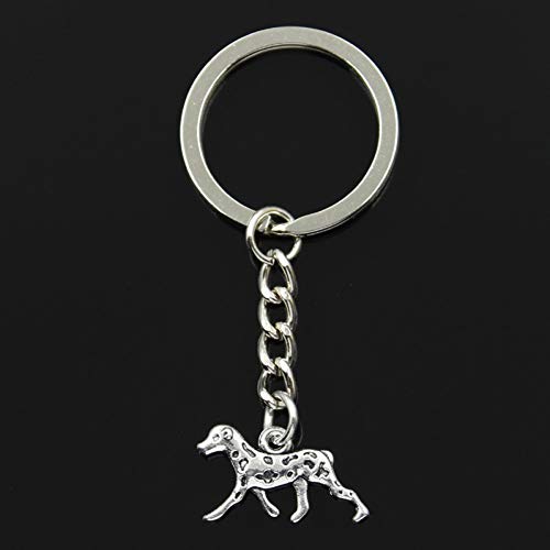 Preisvergleich Produktbild N / A Mode 30mm Schlüsselanhänger Metall Schlüsselanhänger Schlüsselbund Schmuck Antik Silber Überzogener Hund 13x25mm Anhänger