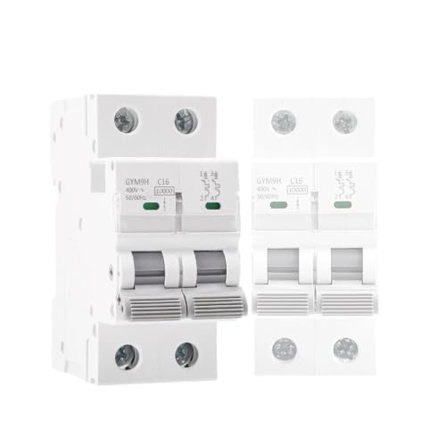 MCB 2P 63A C Curve disjoncteur 220V pour la protection des circuits électriques