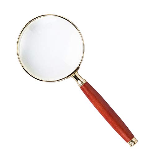 Loupe pour personnes âgées et étudiants curieux de nature