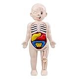 Kidology Anatomy Adventure 3D Puzzle Model Assembly, Early Learning DIY Toys, Human Body Organ Teaching Tools for Children Science, Kids Educational Toy Kits