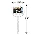 Friends It's All About Friends Cupcake Picks Toppers Decoration Set of 6