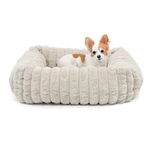 Wallace & Jones | Hundebett Mary - Sand | S | ca. 51 x 46 x 15 cm | weicher Schlafplatz, Breitcord Optik, Hundekörbchen