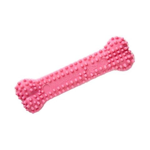 Nylabone Gentle Puppy Teething Dental Chew Toy Bone with Nubs & Ridges, Chicken Flavour, Pink, XS, for Puppies Up to 7 kg Cover