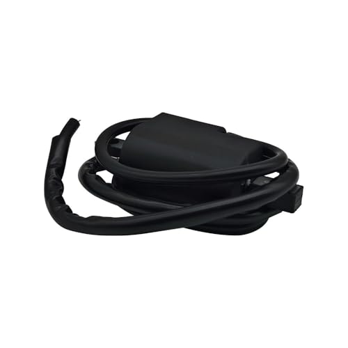 Bobina de encendido para restaurar ATV YFZ 350 modelos de 1987 a 2006 3