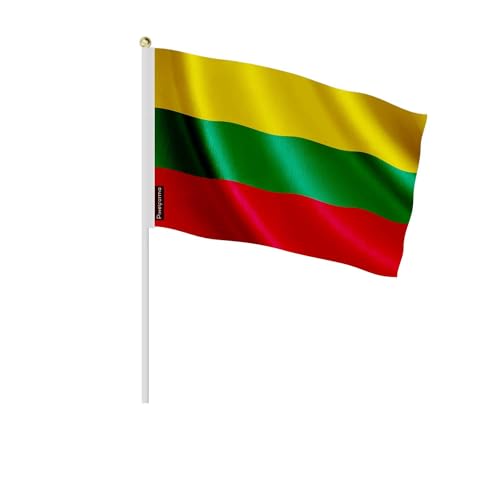 Lot drapeau Lituanie 30x45cm pour équiper facilement vos grands groupes