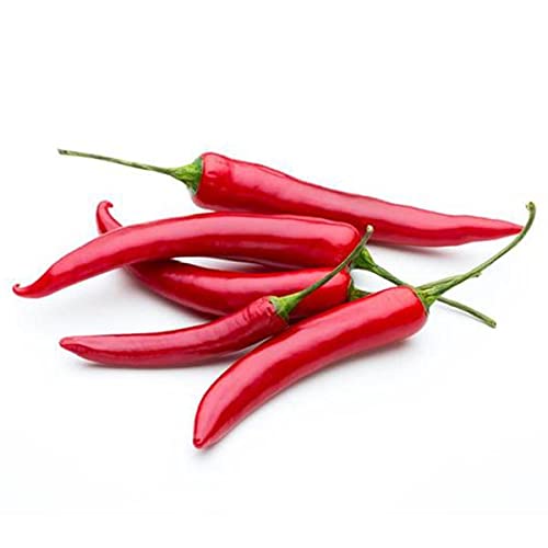 See full amazon price history chart for Cayenne Pepper Organic Seeds For Sowing - 200 Seeds Eco Pack - Kitchen Garden Seeds/Bird Peppers Cayenne Pepper Organic Seeds For Sowing - 200 Seeds Eco Pack - Kitchen Garden Seeds/Bird Peppers (B09KQSLRYZ) Amazon Price History, Amazon Price Tracker