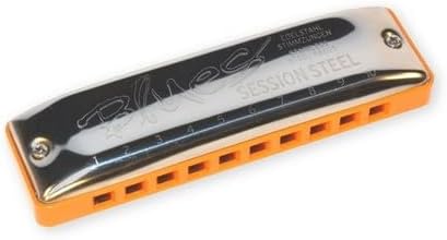 C·A·SEYDEL SÖHNE SESSION STEEL Natural Minor 10313 in G