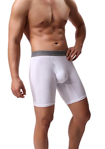 WINDAY Men's Briefs Breathable Ice Silk Sports-Inspired Underwear Boxer Briefs B19-24