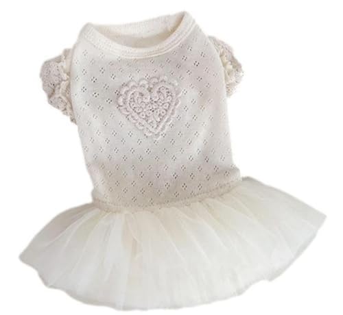 [Lady glamour] n[g^ [X҂ `[ XJ[g s[X ybgp hbO EGA ^ ^  L (ItzCg, XS)