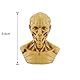 VOANZO Medizinisches Anatomie-Modell, Totenkopf, Muskelknochen, Mini-Größe, Gelb - für Ärzte und Medizinstudenten, Erwachsene, Unisex, Verständnis der menschlichen Schädelanatomie
