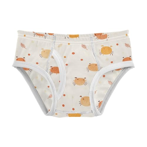 Wusikd Cute Hermit Crabs Boys' Underwear Cotton Boys Briefs Soft Toddler Underwear 2T