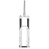 Amortissement : amortissement hydraulique.