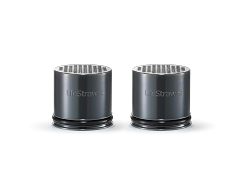 LifeStraw Carbon Capsule Replacement Filter for Go Bottle 2-Stage & Steel (2-Pack)