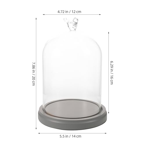 Campana de vidrio para flores y coleccionables con base de madera redonda 3
