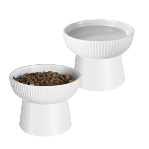 Gamelles en céramique pour chat avec support ergonomique incliné design chic