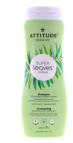 Natural Shampoo - Nourishing & Strengthening, 16 Fl Oz (Pack of 2)