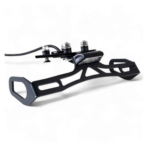 Kit support de plaque et feu arrière haut de gamme Ninja ZX6R 636