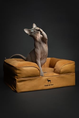 Image of NOAH & PAW Small Dog Bed, 20x15x8 Inch, Cat Bed for Indoor Cats, Orthopedic Eggshell Memory Foam Infused with Cooling Gel, Water Resistant Inner Cover Machine Washable (Faux Leather)