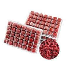 5 pack of Frozen Bloodworm, Frozen Fish Food