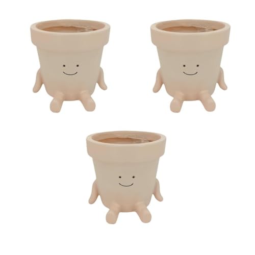 Pot de fleurs design et élégant pour plante verte d'intérieur