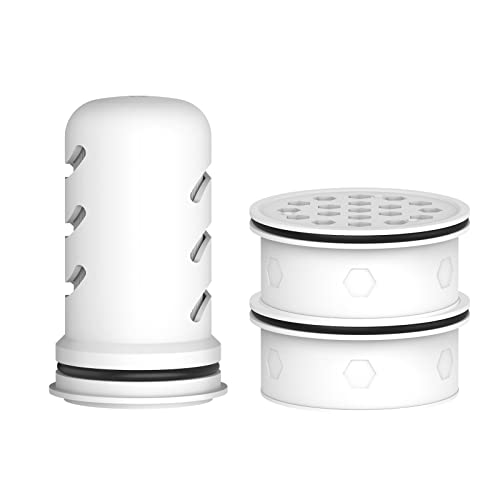 Glacier Fresh Water Pitcher Filter Replacement For Ls Home Dispenser And Pitcher Systems, Reduces Chlorine Taste And Odor, 1 Membrane Micro Filter And 2 Activated Carbon + Ion Exchange Filter #TOP10