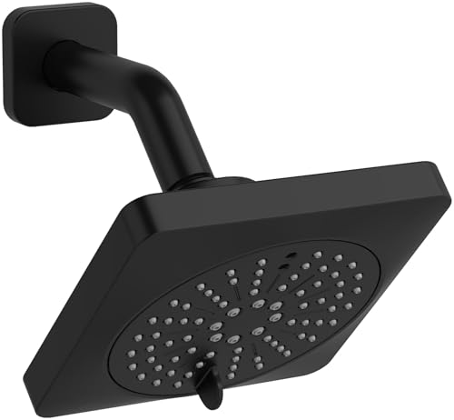Image of 2-Jet Shower Head with Arm