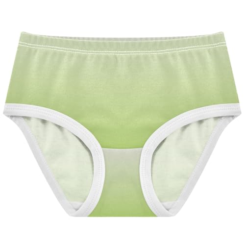 Joisal Magnolia Yellow Green Gradient Panties Little Girl Toddler Underwear Floral Cotton Stylish Briefs Undies Kids 2t