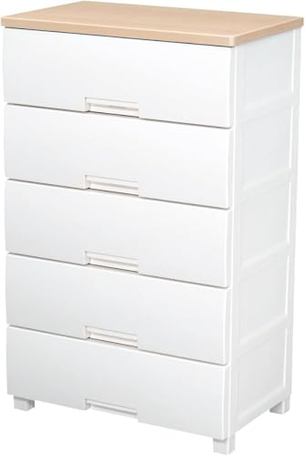 i 5i obNtŔh X[YȈo rt ؐV CeAɍrO`FXg ^X [P[X ߑP[X vX`bN ygsvz yF [vz y65×s41×105cmz