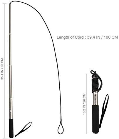 POPETPOP Dog Interactive Teaser Wand Toy Extendable Puppy Flirt Pole Chasing Toy for Small Medium Large Dogs