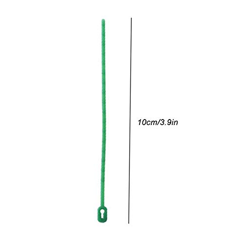 hook.s 50Pcs Garden Fish Bone Belt,Reusable Garden Plastic Plant Belt Ties, For Home Garden Plants Fixing