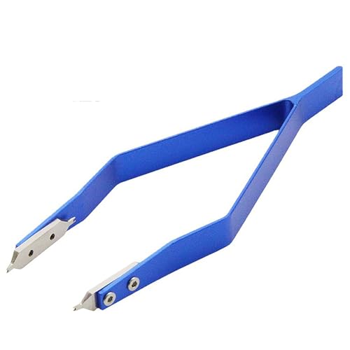 [ai dk] ol_O v xg H  vohH ol_͂ rv xg ol_O vArv s (u[)