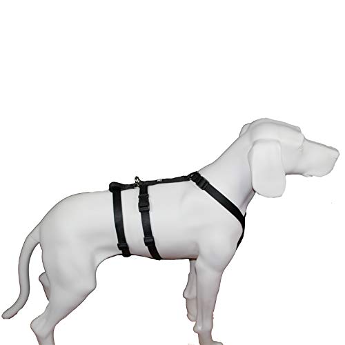 SlowTon Hundegeschirr mit Sicherheitsgurt Double luftdurchlässiges Latex-Gittergewebe Geschirr reguläre Reisenweste Autosicherheitsgurt für alle alltäglichen sportlichen Aktivitäten dem Vierbeiner 4 Feltmann NoExit Hundegeschirr® - ausbruchssicher, Pankigeschirr, Unifarben Schwarz, Bauchumfang 40-60 cm, 15 mm Bandbreite