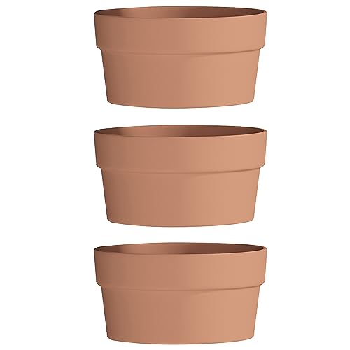 Fcacti Maceta de terracota poco profunda de 8 pulgadas, paquete de 3 macetas grandes de arcilla de terracota con agujero de drenaje, maceta redonda poco profunda de terracota bonsái para plantas de