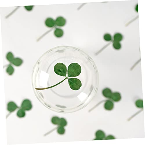 Flores prensadas secas naturales para manualidades 24 pcs miniatura 4