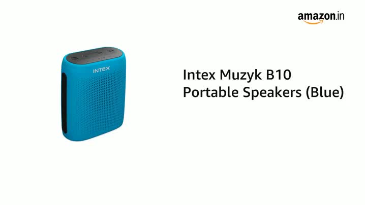 intex muzyk b10