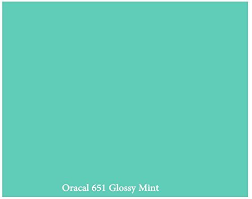 ORACAL 651 Mint Vinyl Solvent-Based Adhesive-Backed Calendared Wrap Decals (12" x 10ft)