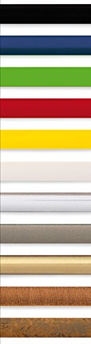 walther Design Picture Frame Steel 10 x 18 cm New Lifestyle Plastic Frame KV118D