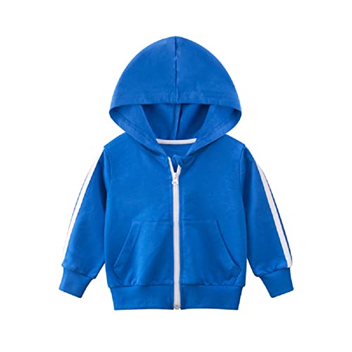 Best Baby Blue ZipUp Hoodie