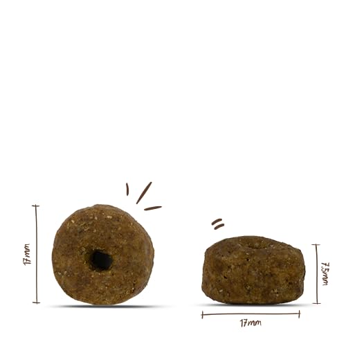 HPC Insect Adult Tapioka und Äpfel | Hundetrockenfutter Für Ausgewachsene Hunde Aller Rassen | Single Protein Grain-Free | 1 x 10 Kg