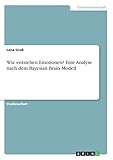 Grin Verlag