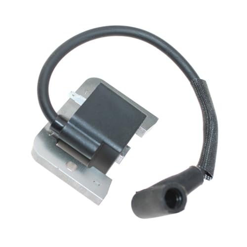 Module d'allumage pour moteurs CH740 CH750 CV740 CV750