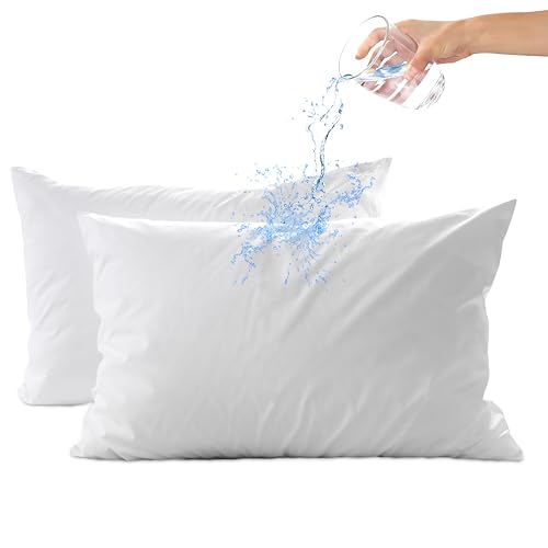 Dreamology Pillow Protectors with Zipper Queen Size,2 Pack,Waterproof Pillow Protector Queen Size,Bed Bug Proof Pillow Protector,Waterproof Pillow Covers,20x30 Pillow Covers