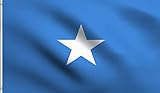 DMSE Somalia Somali Flag 3X5Ft Foot 100% Polyester 100D Flag