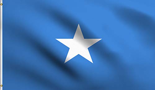 DMSE Somalia Somali Flag 3X5Ft Foot 100% Polyester 100D Flag
