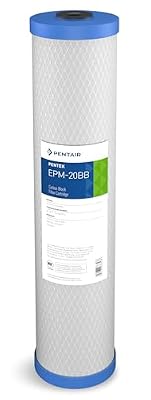 Pentair Pentek EPM-20BB Big Blue Carbon Water Filter, 20-Inch, Whole House Modified Epsilon Carbon Block Replacement Cartridge with Bonded Powdered Activated Carbon (PAC) Filter, 20" x 4.5", 10 Micron