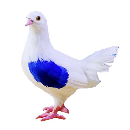 lH͌^{̋U K[fpeBIʐ^Bep