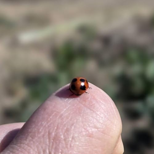 ep019／確定申告とAI執事と春のもやもやを、よく噛む（葉山）