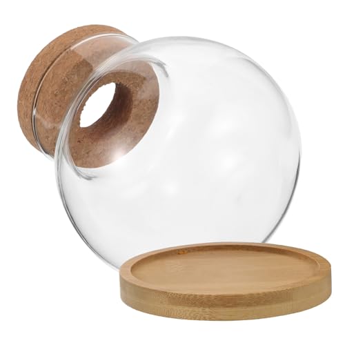 HINTRMENT 2ensembles Lot de Vases Verre pour Plantes Hydroponiques avec Plateau Bambou Vases de Propagation pour Bureau et Décoration Maison Terrarium...
