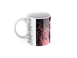 Taza Anime Jujutsu – Regalo Original para Fans del Manga y Shonen – Taza Manga de Cerámica 330 ml (red)