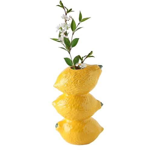 LEMCC Vase à Fraises, Joli Vase à Pommes en Céramique, Vase à Citron Funky, Vase à Fruits D'inspiration Vintage, Grand Vase Décoratif, Arrangement Floral...